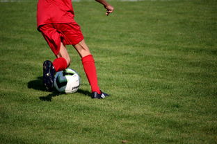 开云中国官网-体育新闻中心发布体育短视频内容运营新策略，体育短视频存在的问题  第1张